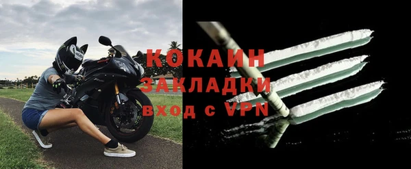 метадон Богданович