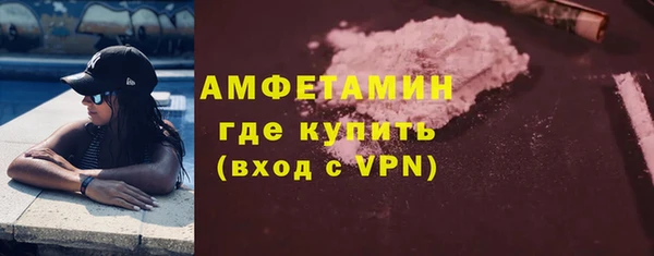 метадон Богданович