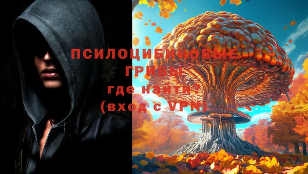 метадон Богданович