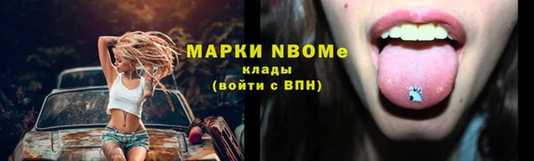 бошки Пересвет