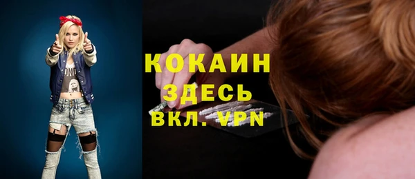 apvp Богородицк