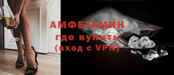 метадон Богданович