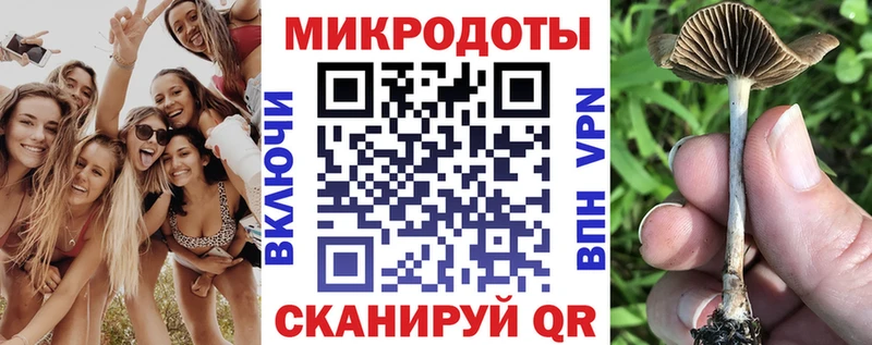купить   Новоульяновск  мега сайт  Псилоцибиновые грибы Psilocybe 