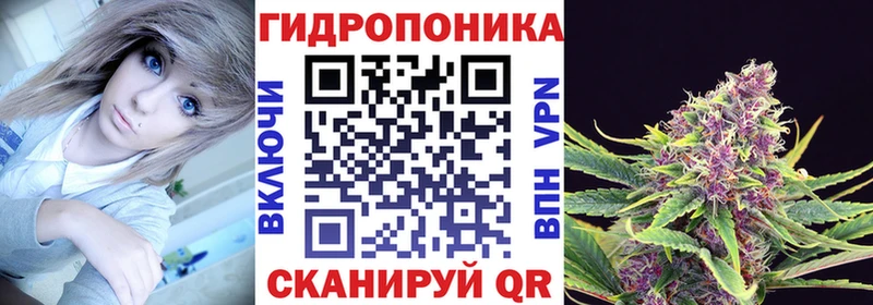 мориарти как зайти  Новоульяновск  Бошки марихуана Amnesia 